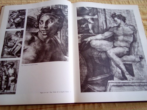 Michelangelo-studio della figura